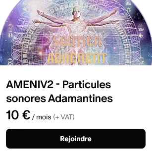 ameniv2 inc